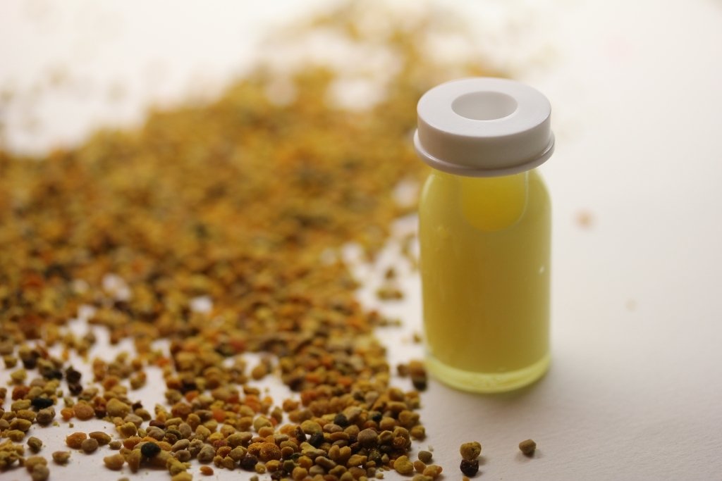 Arı Sütü İthal (10 gr)